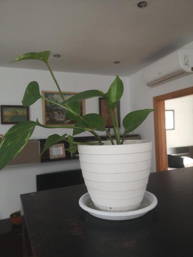 La Casita Del Arte Apartamento